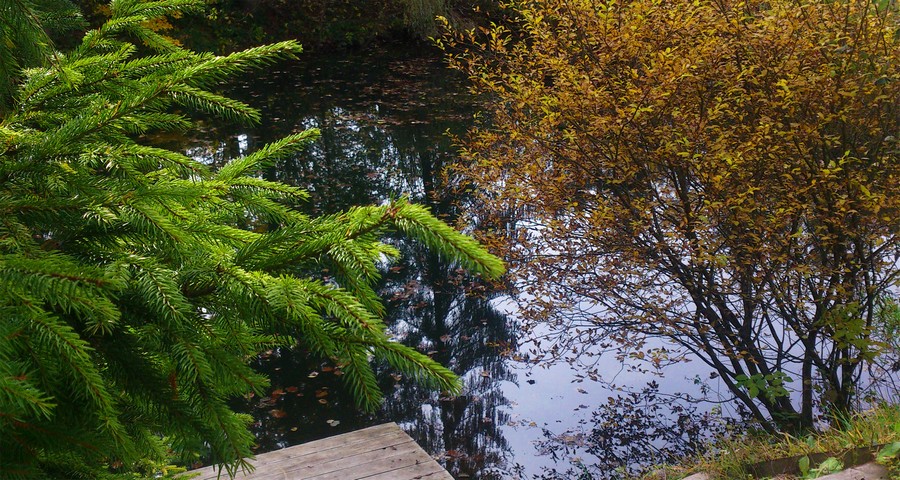 Біля озерця восени - Карпати, Волосянка