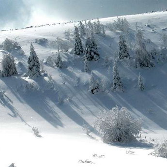 Snowy winter Carpathians