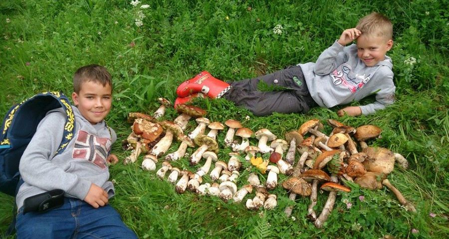 Хлопчики назбирали в Карпатах багато грибів