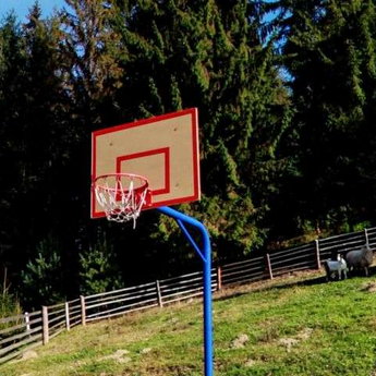 Basketball in the Carpathians