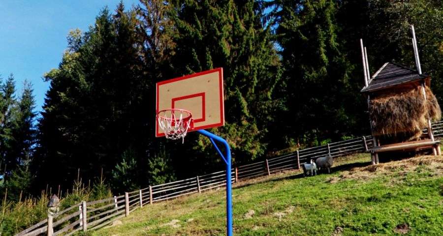 Баскетбол в Карпатах