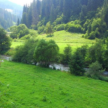 Summer holiday by the river in the Carpathians