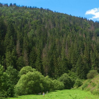 Family holidays in the Carpathians near the river, picnic near the reservoir